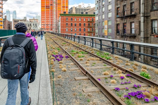 The High Line Rooftop Park, New York City with railroad track and People walking around during sunny winter day, purple flowers at the railroad track, horizontal