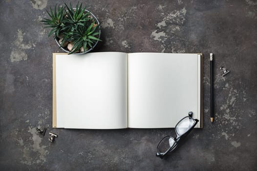 Blank open brochure, plant and stationery on concrete background. Flat lay.