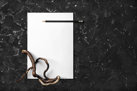 Blank letterhead, pencil and dry branch on black plaster background. Blank branding template. Blank stationery.
