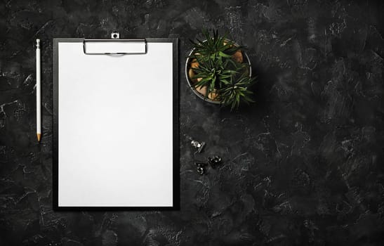Blank clipboard, pencil, succulent plant and clips on black plaster background. Top view with copy space. Flat lay.