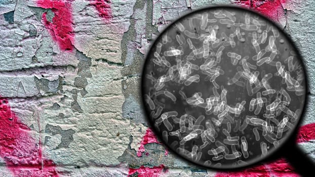 Searching for bacteria on surface