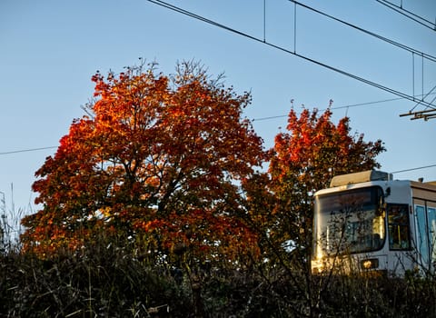 part of a moving tram in autumn lights