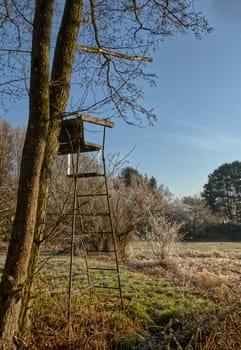 raised hide, tree stand or deer stand used by hunters in forestry