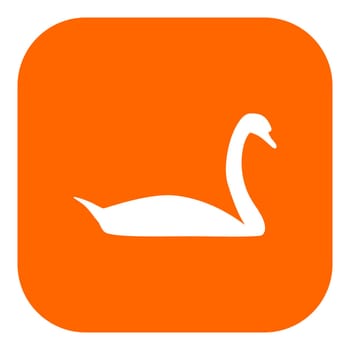 Swan and app icon