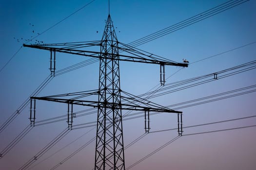 Pair of white storks nesting on a power pole