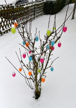 Colorful easter eggs with fresh snow