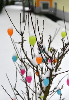 Colorful easter eggs with fresh snow