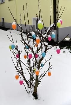 Colorful easter eggs with fresh snow