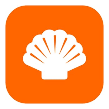 Shell and app icon