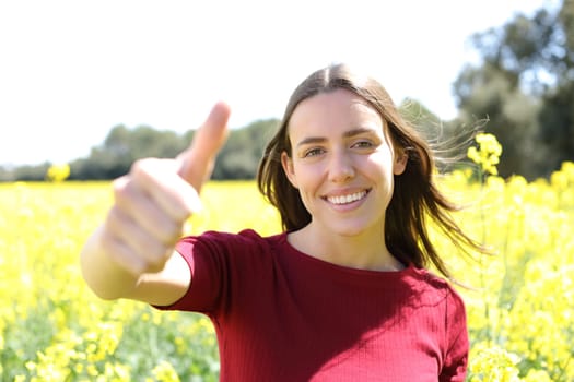 Happy woman gesturing thumb up in a yellow field in summer