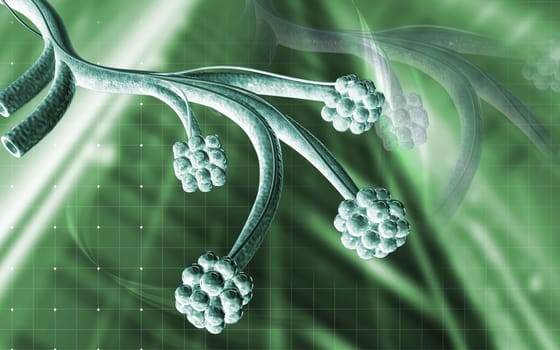 Digital illustration of alveoli in colour background