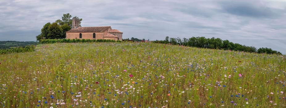 Vignoble Bordelais features a stunning view of rolling fields adorned with wildflowers and a quaint building situated near the Church of Blasimon in Gironde, France.