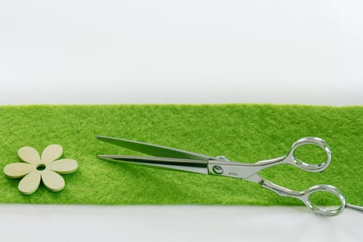 Sleek scissors