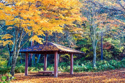 Mt. Fuji with fall colors in japan for adv or others purpose use