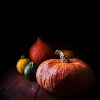 Colorful pumpkins against dark background with copyspace