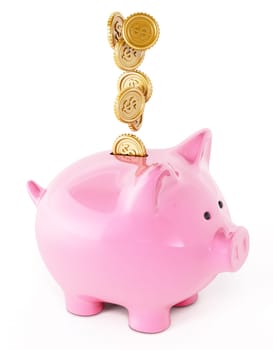 Gold coins and piggy bank isolated on white background.