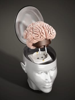 Brain with electricity plug connected to the human head.