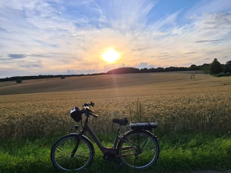 Sunset in a golden wheat field with bicycle