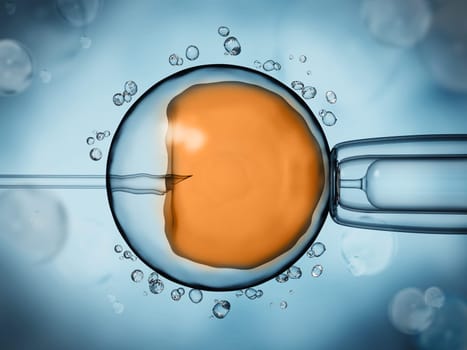 Artificial insemination illustration showing the ovule on blue background