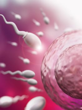 Illustration showing human reproduction system with sperms and egg