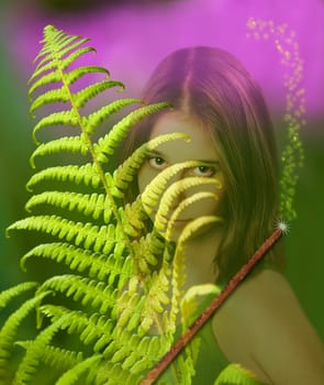 Forest Fairy