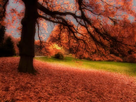 Romance II.