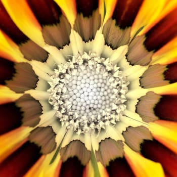 Sunshine II.