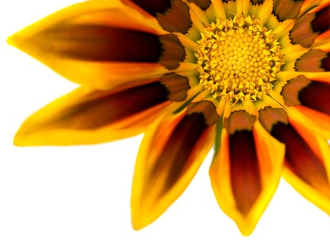 Sunshine I.