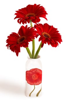 Gerbera I