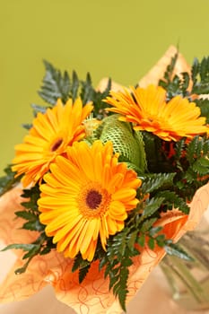 Orange Gerbera II