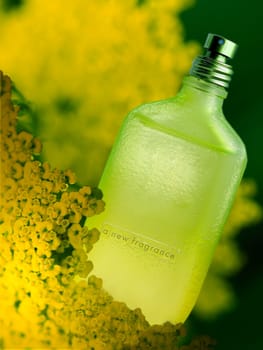Perfume VII.