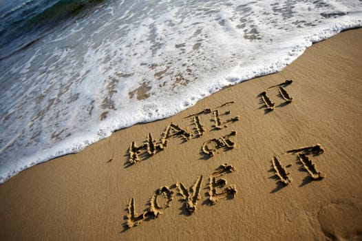 Hate It Or Love It