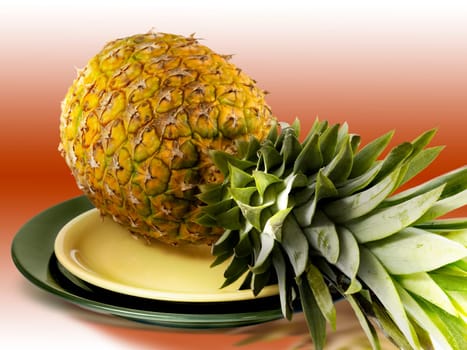 Pineapple