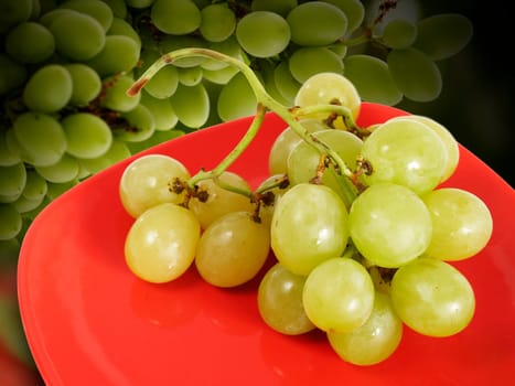 Grape