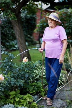 Watering the garden