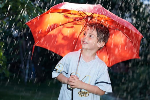 Summer rain shower I.