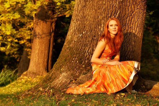 Enjoy Sonnenstr.im beautiful forest