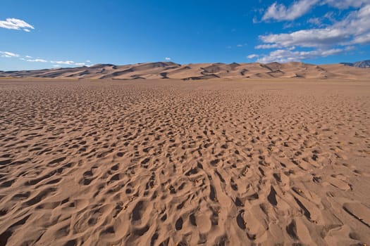 Pockmarked Sand With Fall Leaves at the Great Sand Dunes National Park in Colorado