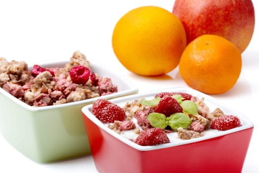 Yogurt with muesli VIII.