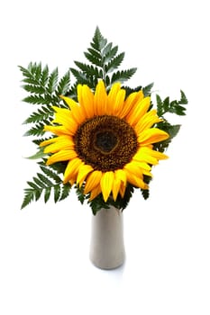 Sunflower in Vase I.