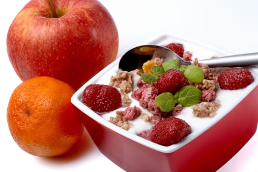 Yogurt with muesli IV.