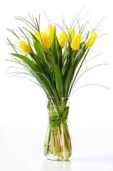 Tulips I.