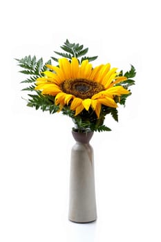 Sunflower in Vase II.