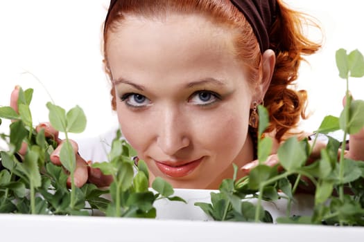 Nurse with peas II.