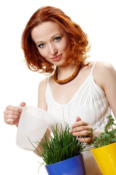 Young woman watered chives II.