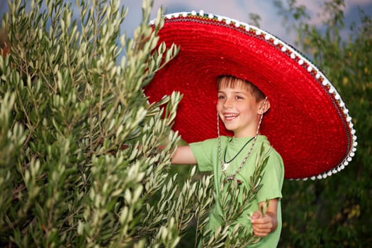 Little boy at the olive tree II.