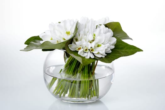 Snow Bells I.