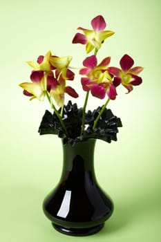 Weinrote Orchidee III.