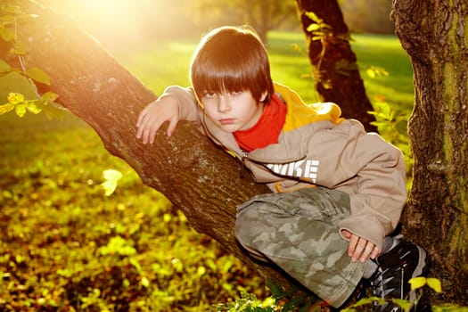 Boy in the autumn park I.