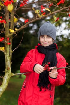 Little boy in autumn forest III